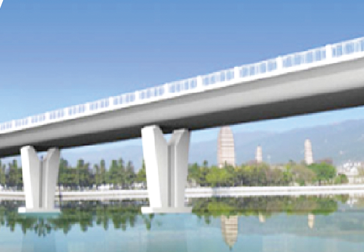 上海异形桥墩模板